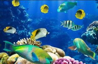 一线吃瓜小说免费海底见月,一线吃瓜小说中的神秘月影之旅